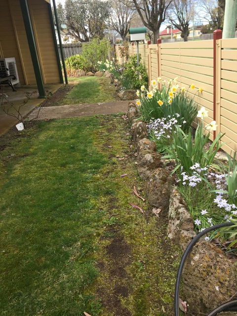 Our Cottage - Sunshine Coast Tourism 1