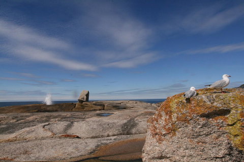 Suntrap Cove Bicheno - Sunshine Coast Tourism 37