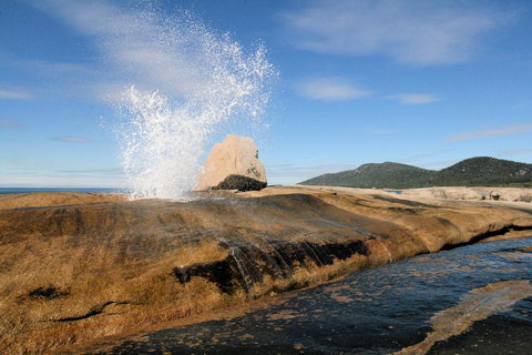Suntrap Cove Bicheno - Sunshine Coast Tourism 0