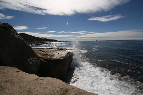 Suntrap Cove Bicheno - Sunshine Coast Tourism 40