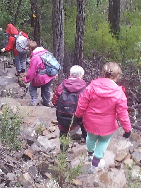 Suntrap Cove Bicheno - Sunshine Coast Tourism 2