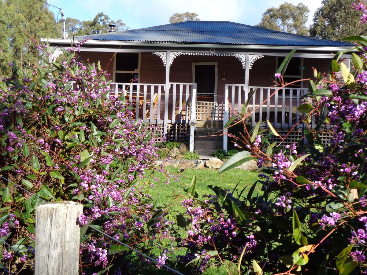 Fentonbury TAS Holiday Sunshine Coast