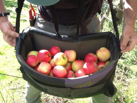Eureka Farm - Holiday Sunshine Coast 24