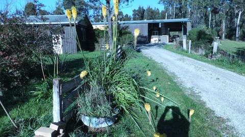 Eureka Farm - Holiday Sunshine Coast 16