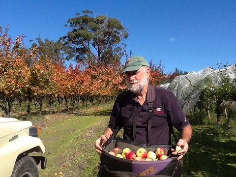 Eureka Farm - Holiday Sunshine Coast 19