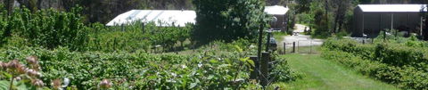 Eureka Farm - Holiday Sunshine Coast 25