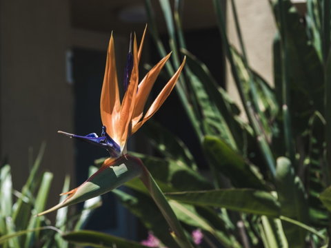 Russell House - Sunshine Coast Tourism 2