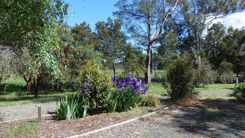 Karoola Cottage Self Contained - Sunshine Coast Tourism 19