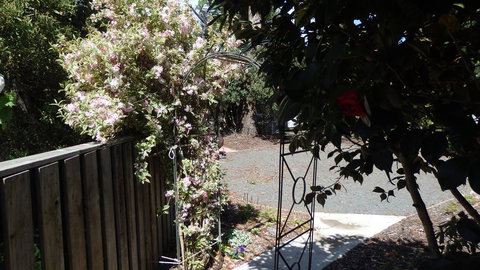 Karoola Cottage Self Contained - Sunshine Coast Tourism 20