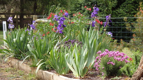 Karoola Cottage Self Contained - Sunshine Coast Tourism 0