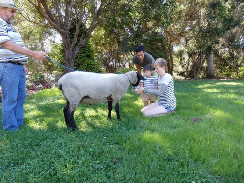 Karoola Cottage Self Contained - Sunshine Coast Tourism 23