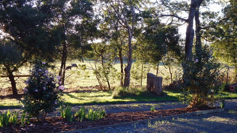 Karoola Cottage Self Contained - Sunshine Coast Tourism 25