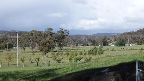 Karoola Cottage Self Contained - Sunshine Coast Tourism 11