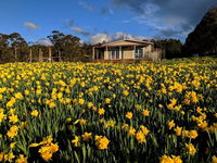 Book Golden Valley Accommodation Vacations Sunshine Coast Tourism Sunshine Coast Tourism