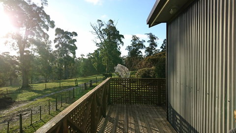 Glengarry Farm Stay BnB - Sunshine Coast Tourism 5