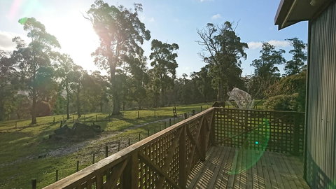 Glengarry Farm Stay BnB - Sunshine Coast Tourism 6