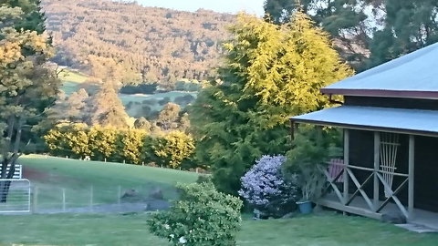 Glengarry Farm Stay BnB - Sunshine Coast Tourism 7