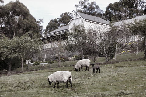 House On The Hill Bed And Breakfast - Sunshine Coast Tourism 19