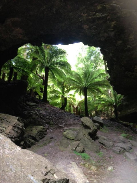 Sheer Pleasure Accommodation - Sunshine Coast Tourism 21