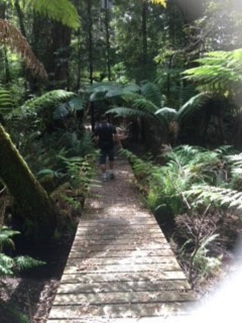 Sheer Pleasure Accommodation - Sunshine Coast Tourism 23