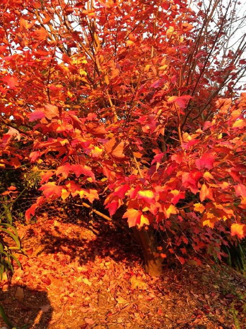 Sheer Pleasure Accommodation - Sunshine Coast Tourism 26