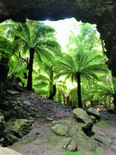 Sheer Pleasure Accommodation - Sunshine Coast Tourism 22