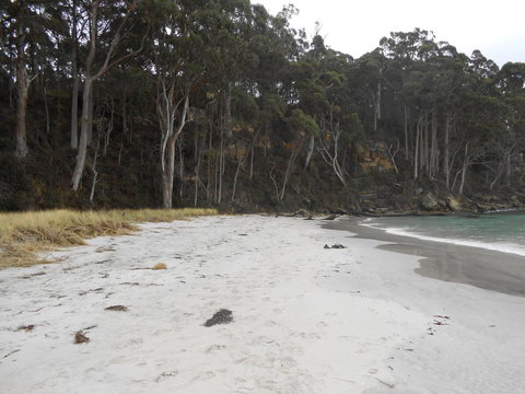 Bruny Ocean Cottage - Holiday Sunshine Coast 12