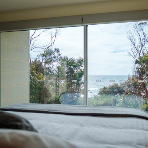 Cod Rock Point - Sunshine Coast Tourism 19