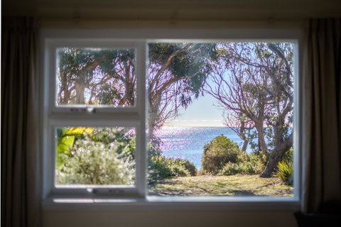 Cod Rock Point - Sunshine Coast Tourism 3