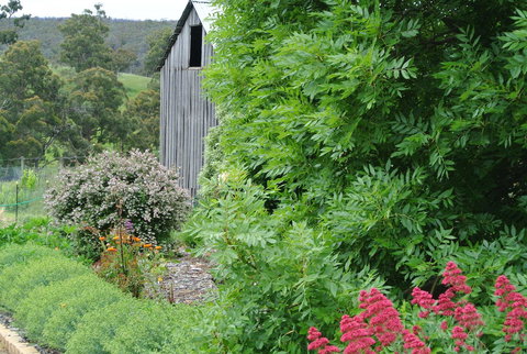 Hamlet Downs Country Accommodation - Sunshine Coast Tourism 19