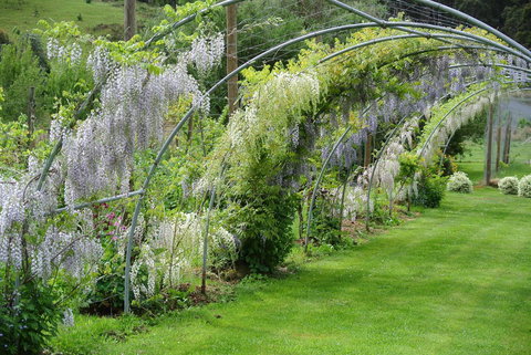 Hamlet Downs Country Accommodation - Sunshine Coast Tourism 17