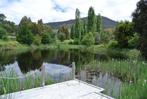 Hamlet Downs Country Accommodation - Sunshine Coast Tourism 12