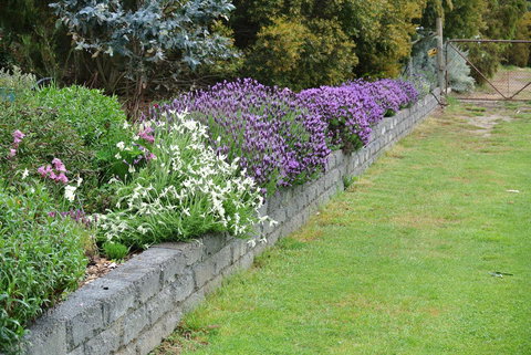 Hamlet Downs Country Accommodation - Sunshine Coast Tourism 14