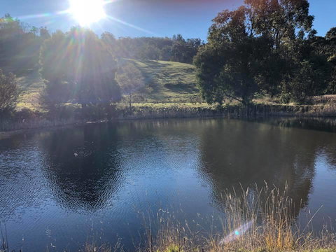 Hamlet Downs Country Accommodation - Sunshine Coast Tourism 8