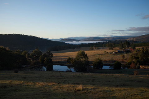 Hamlet Downs Country Accommodation - Sunshine Coast Tourism 23
