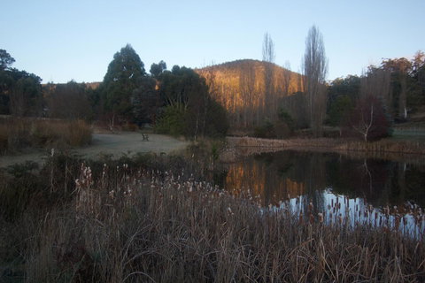 Hamlet Downs Country Accommodation - Sunshine Coast Tourism 25