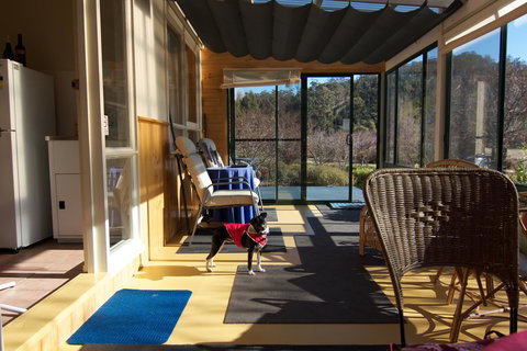 Hamlet Downs Country Accommodation - Sunshine Coast Tourism 33