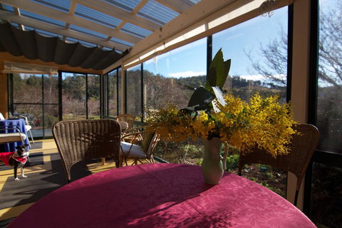 Hamlet Downs Country Accommodation - Sunshine Coast Tourism 41