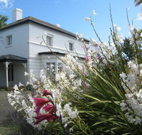 The Grove Cottages - Sunshine Coast Tourism