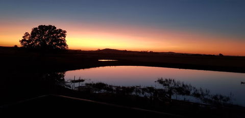New Horizons Farm Stay - Sunshine Coast Tourism 1