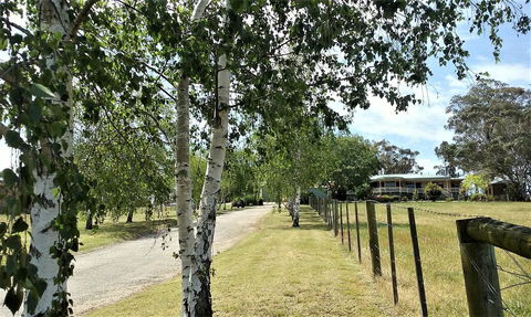 Nicholson BnB And Arts Centre - Sunshine Coast Tourism 0