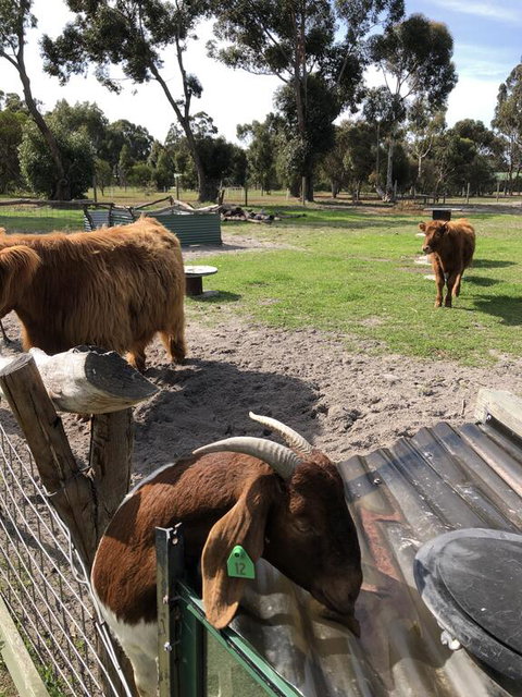 Nutcrackers Lodge - Sunshine Coast Tourism 2