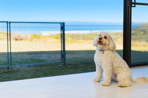 Ocean Paradise - Holiday Sunshine Coast 2