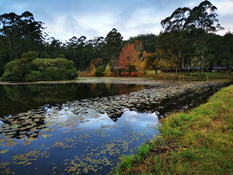 OCT Forest Lodge - Sunshine Coast Tourism 2