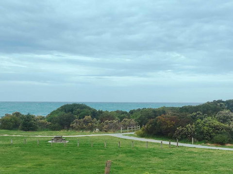 ODYSSEY APOLLO BAY - Holiday Sunshine Coast 2