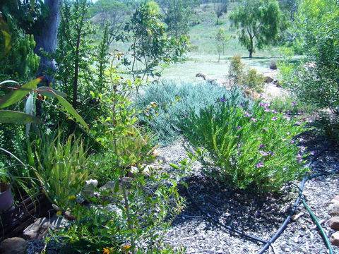 Old Miners' Cottages Bed And Breakfast - Holiday Sunshine Coast 0