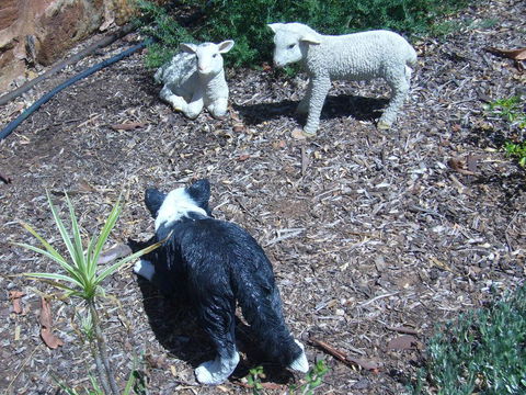 Old Miners' Cottages Bed And Breakfast - Holiday Sunshine Coast 2