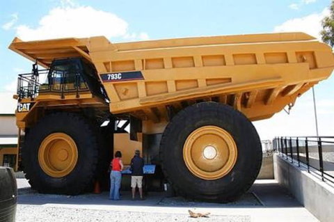 Paddys Golden Patch - Sunshine Coast Tourism 0