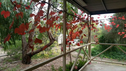 Padthaway Caravan Park - Sunshine Coast Tourism 1