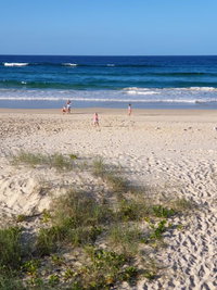 Palmy Sea Breeze